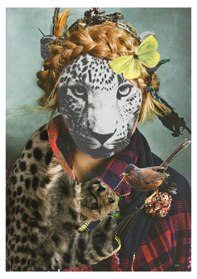 Untitled Untitled