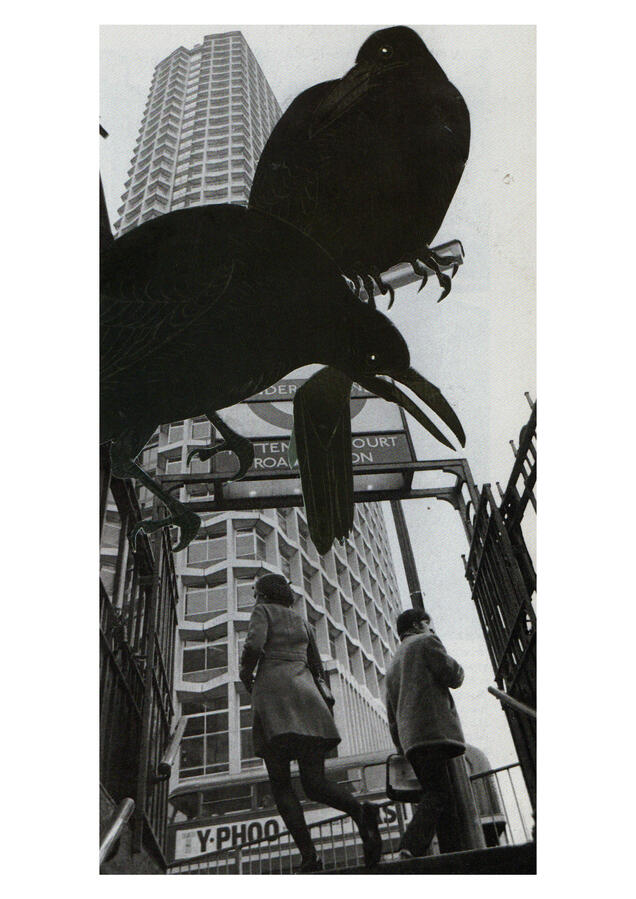 Untitled Untitled