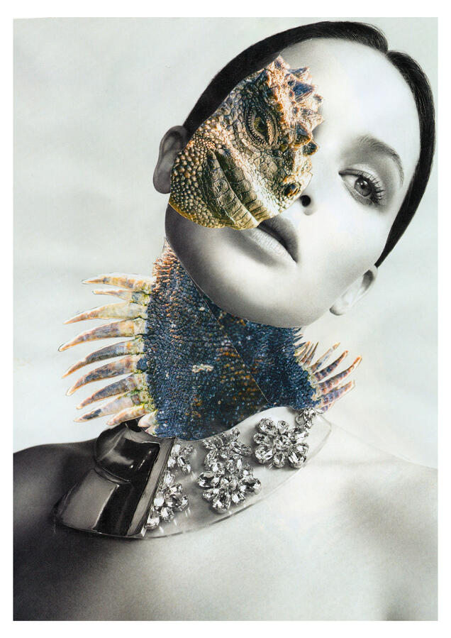Untitled Untitled