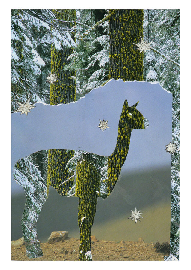 Untitled Untitled